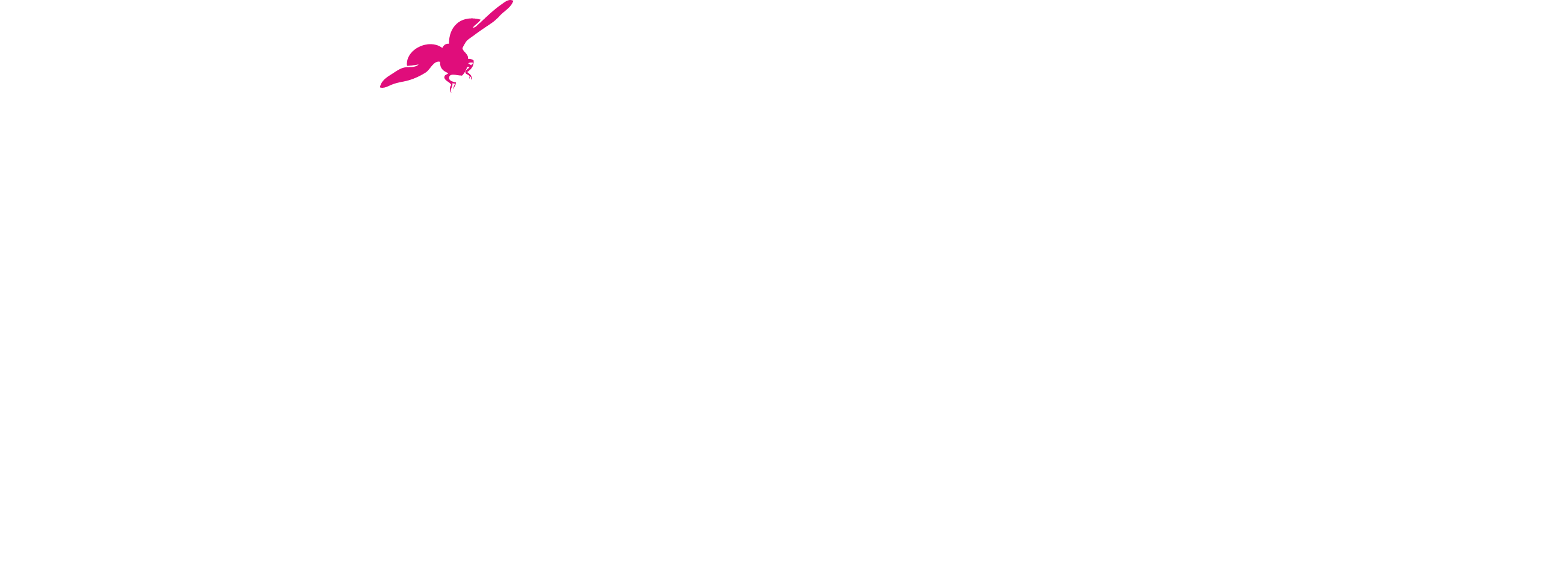 Accent du Sud