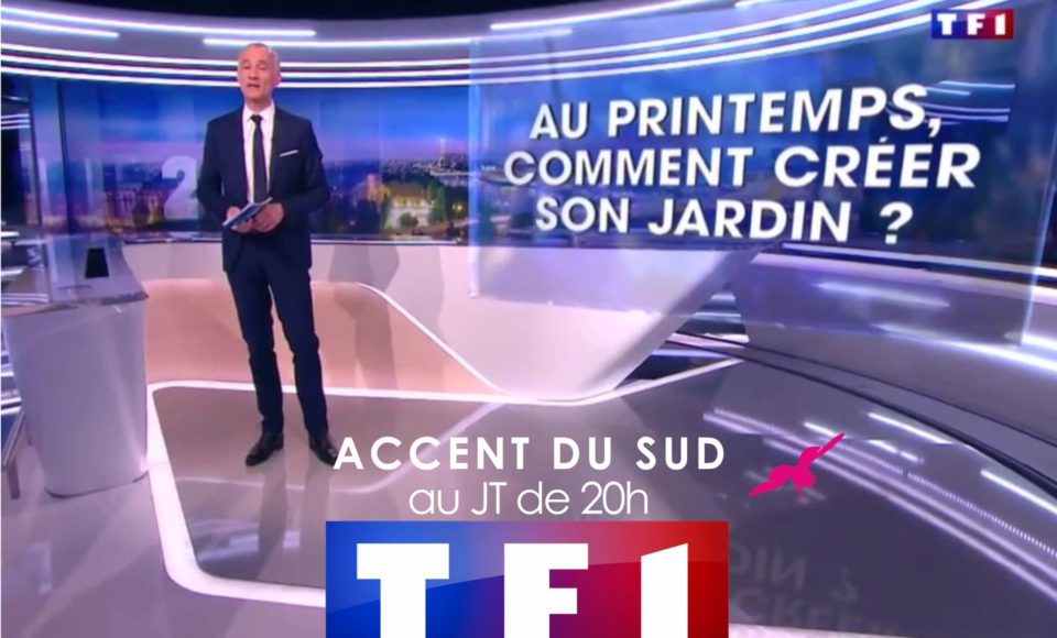 Entretien parc et jardin Accent du Sud Jt de tf1