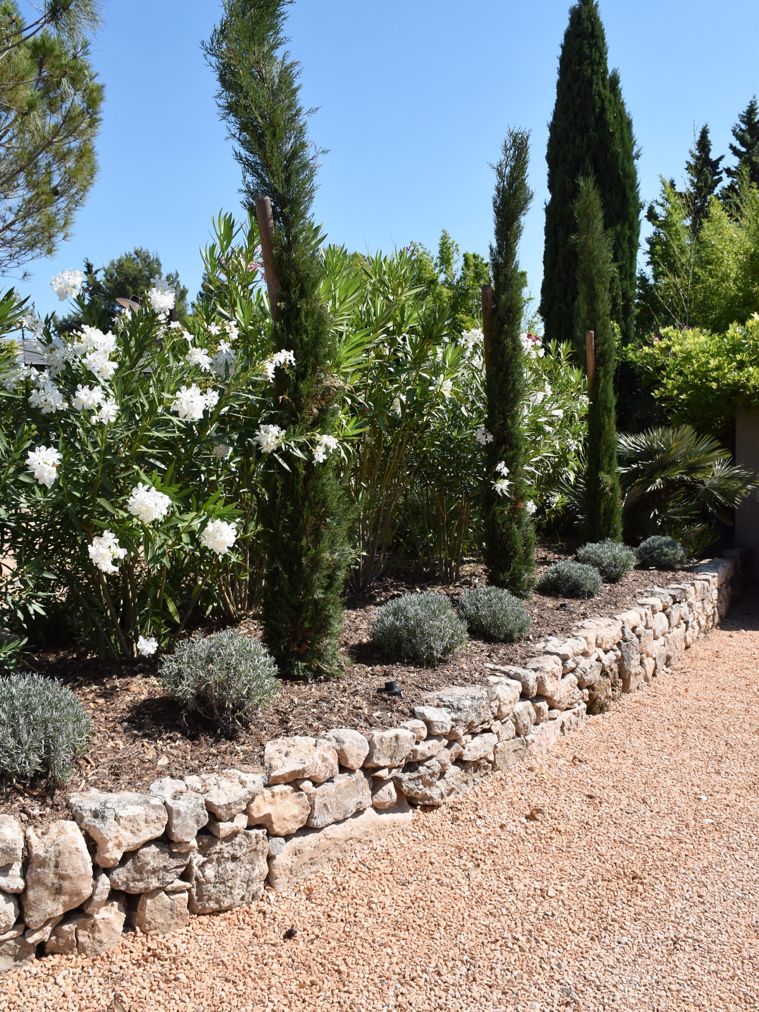 Aménagement jardin avec allée