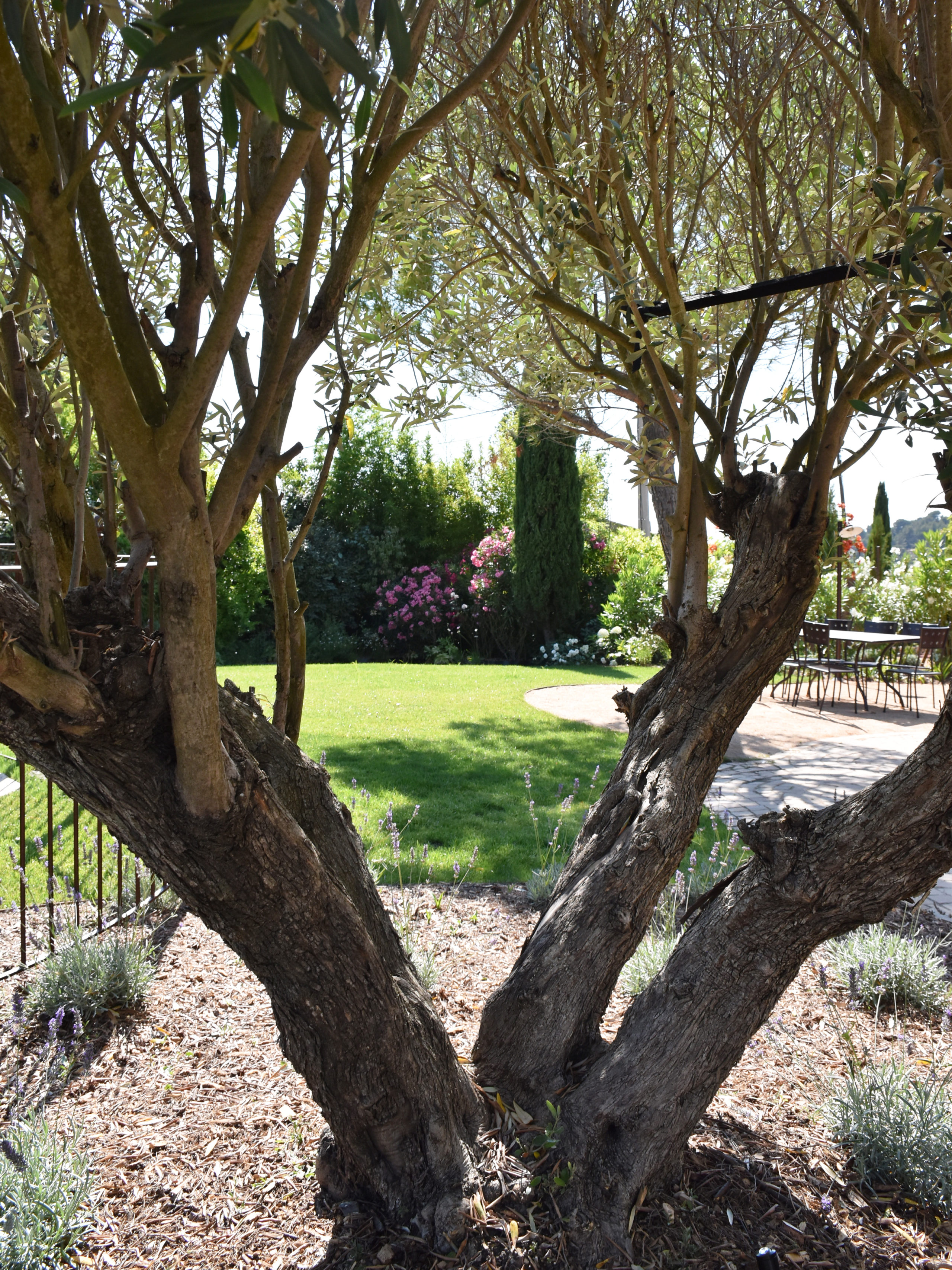 Aménagement d'un jardin extérieur avec vue de l'ensemble