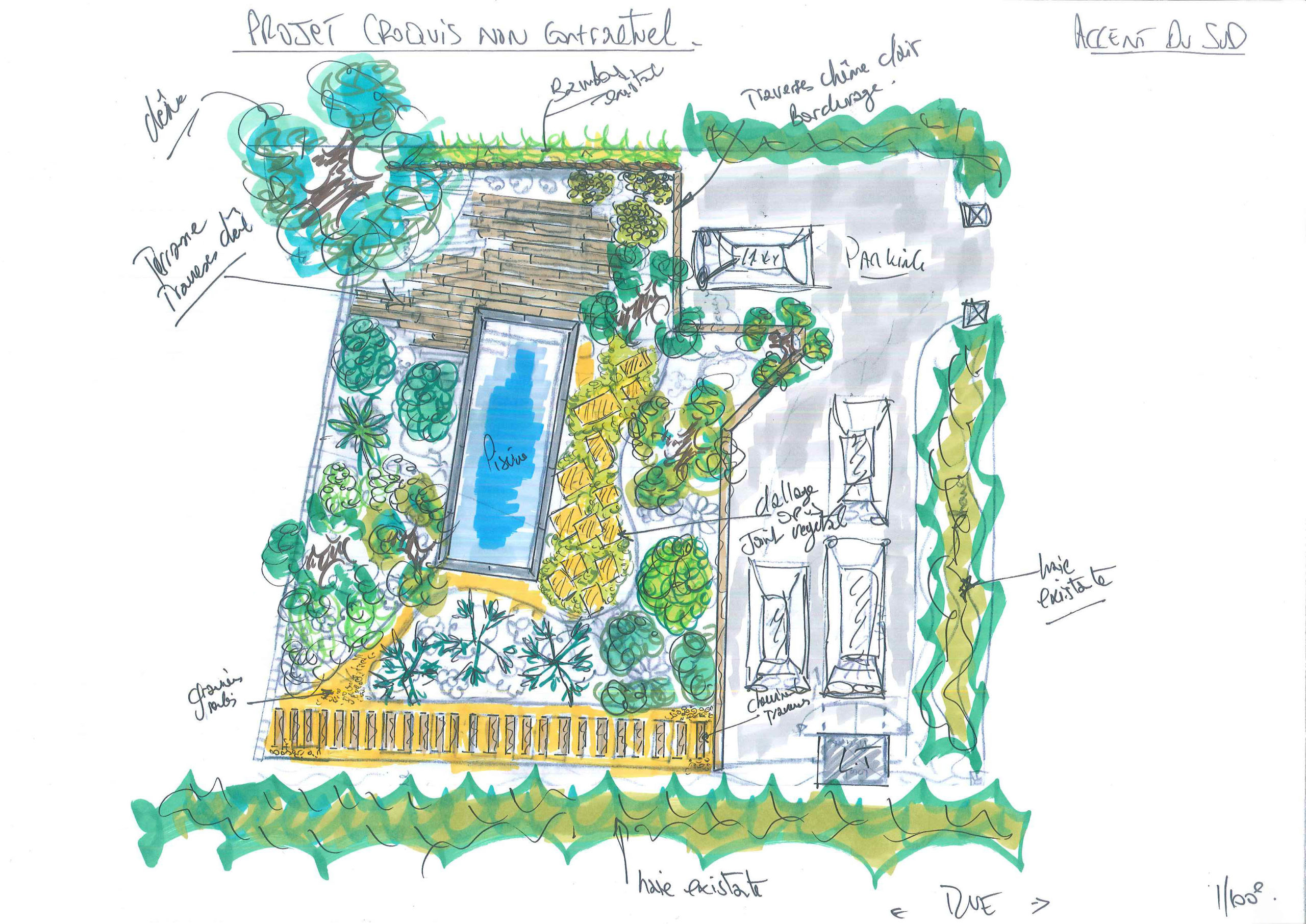 Aménagement paysager croquis détaillé