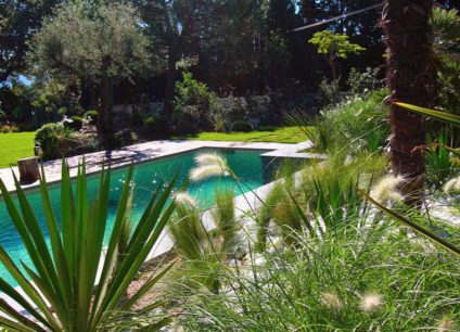 Aménagement espace vert autour d'une piscine