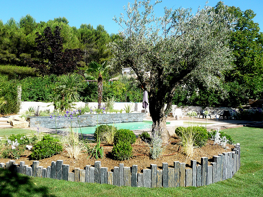 Entretien jardin vue massif et végétaux