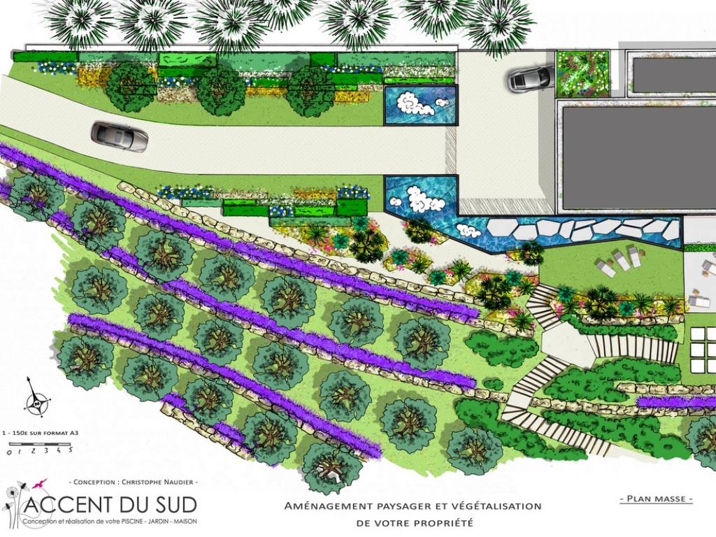 Piscine de luxe plan détaillé