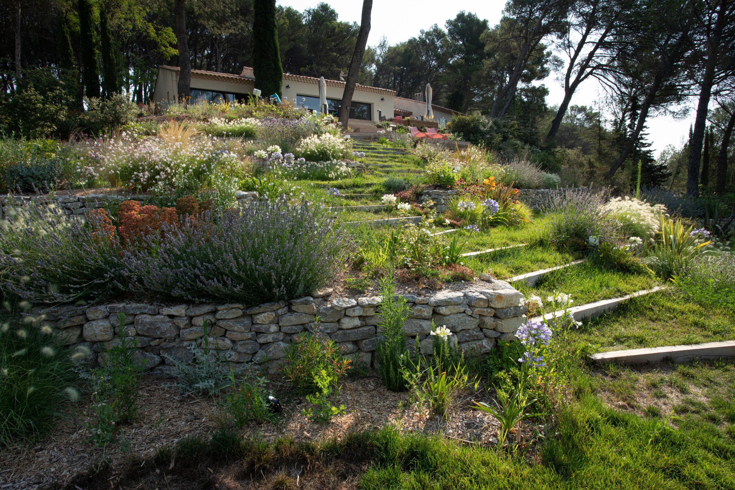 Création d'un architecte paysagiste à Aix-en-Provence