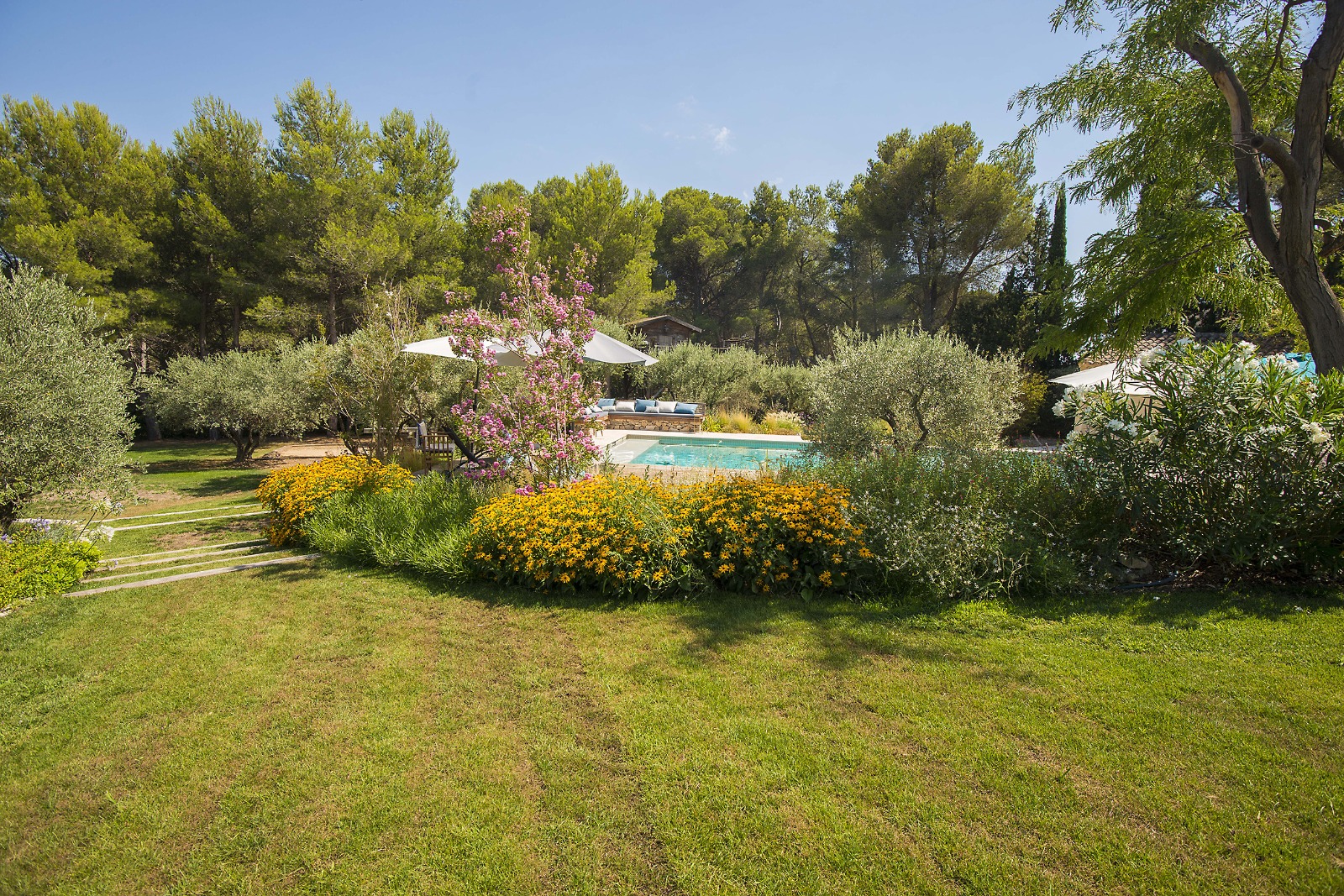 création de jardin provencal