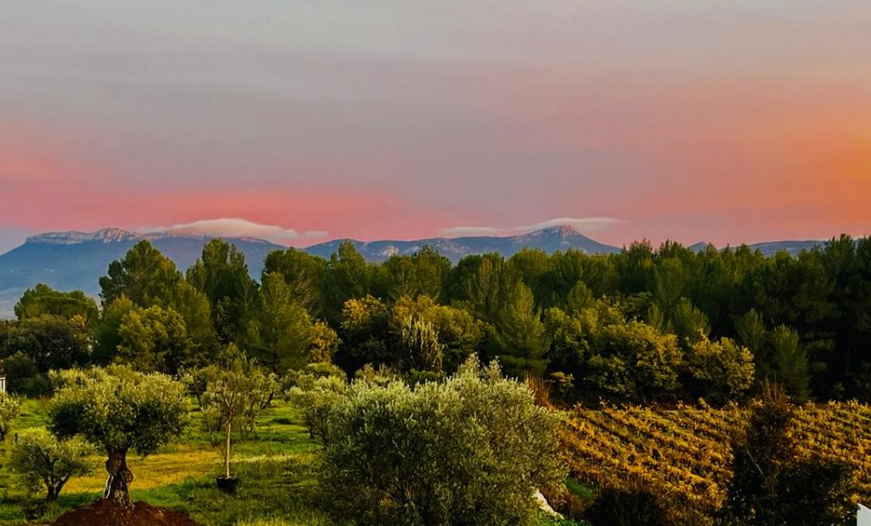 Paysage de Provence