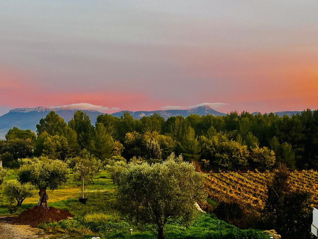 Paysage de Provence