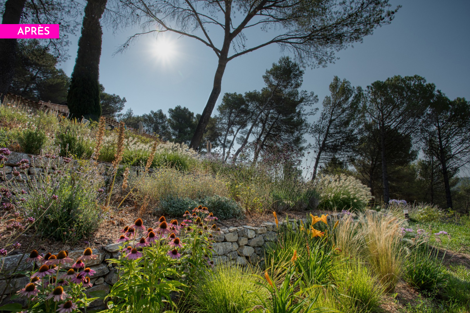 création jardin en restanquese Aix-en-Provence