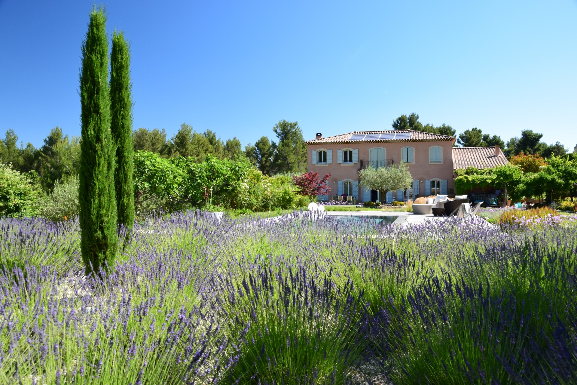 Jardin provençal