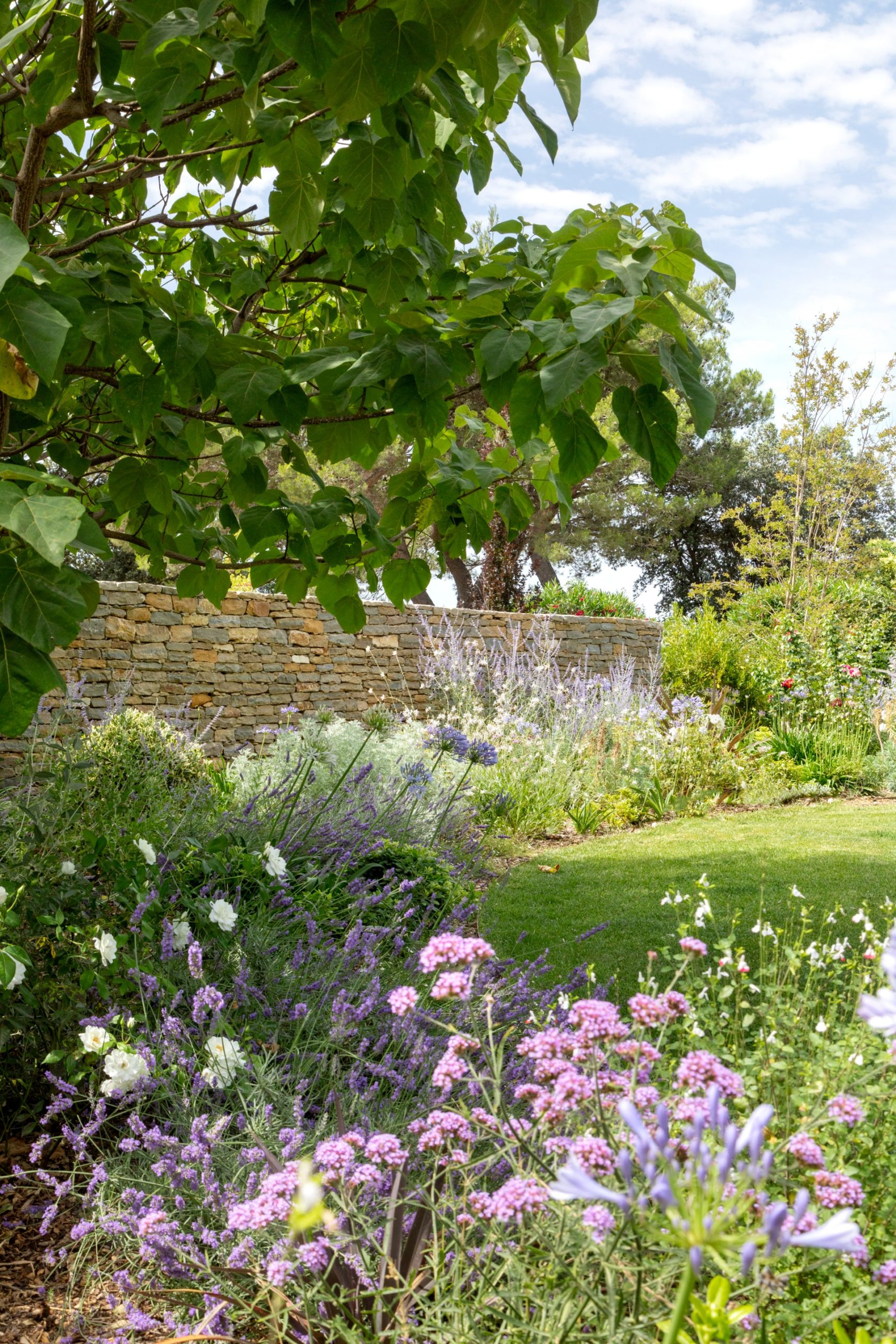 massif jardin provençal