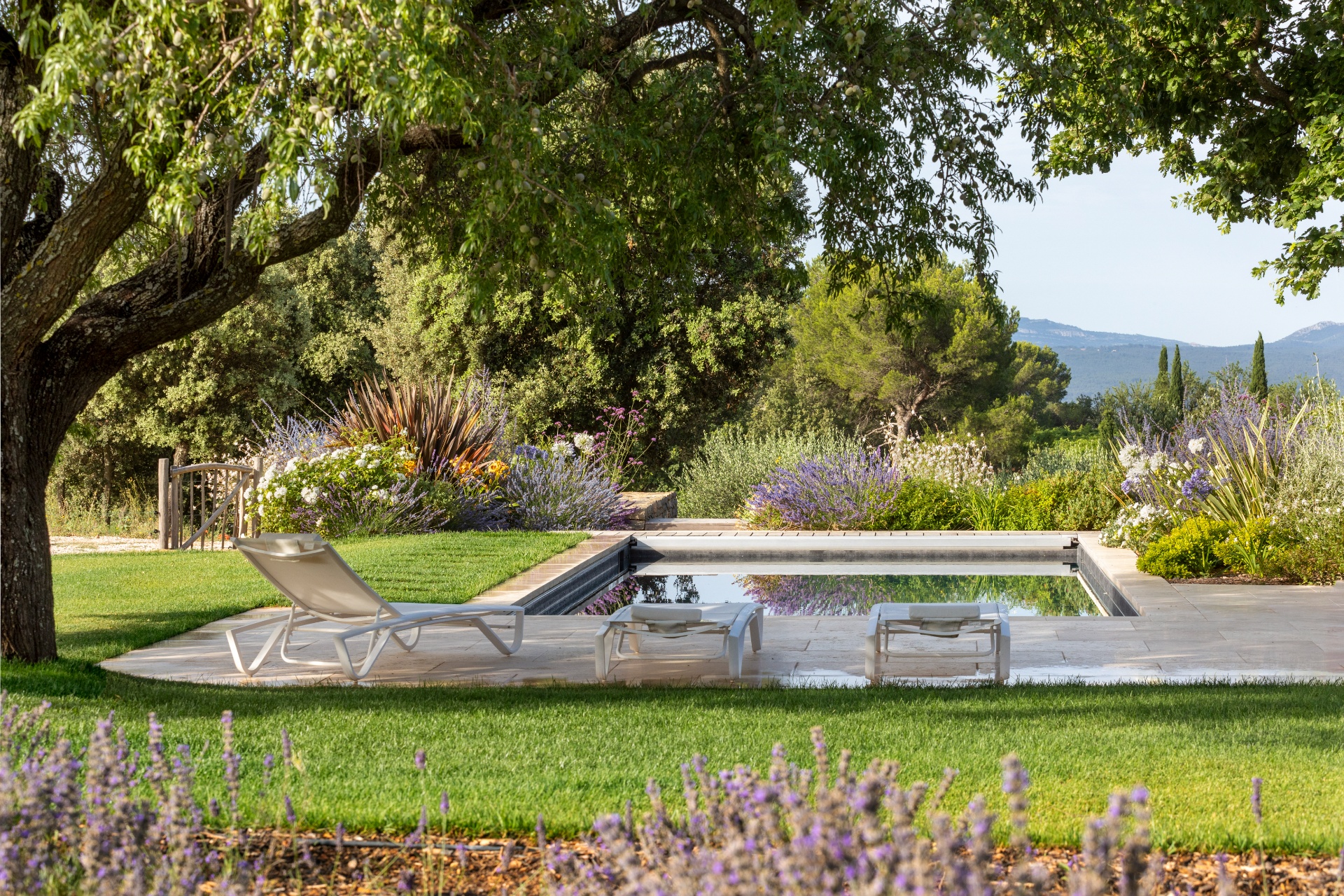 Conception jardin/piscine Aix-en-Provence