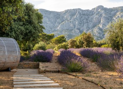 jardin lavandes provence