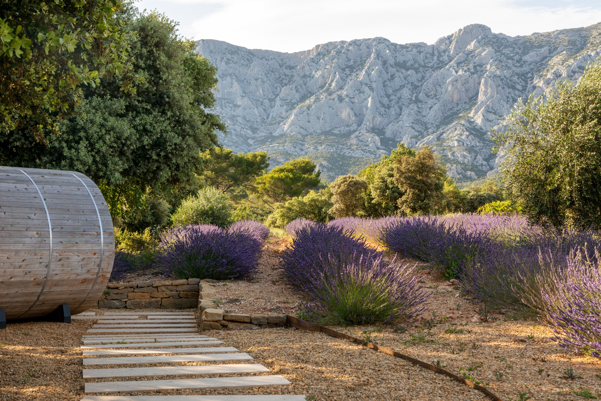 jardin lavandes provence