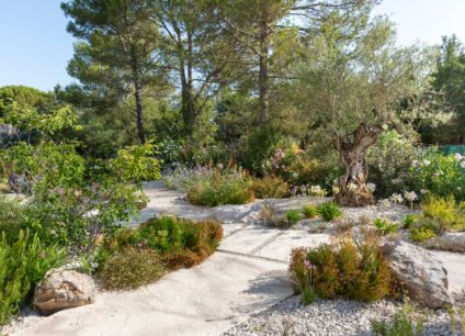 Jardin minéral