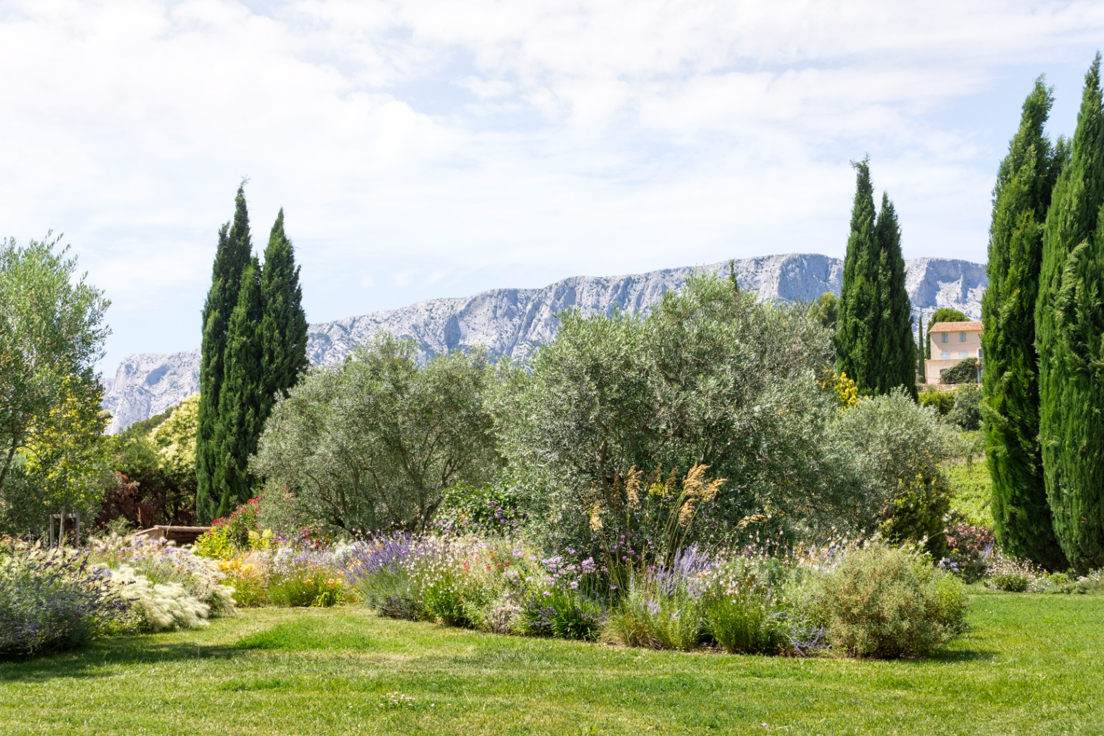 plantes climat mediterranéen