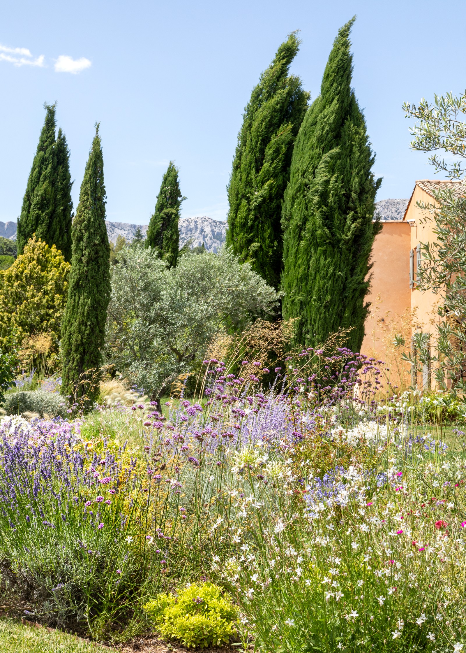 jardin provencal contemporain
