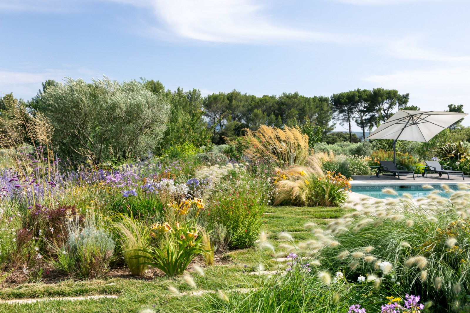 massif piscine