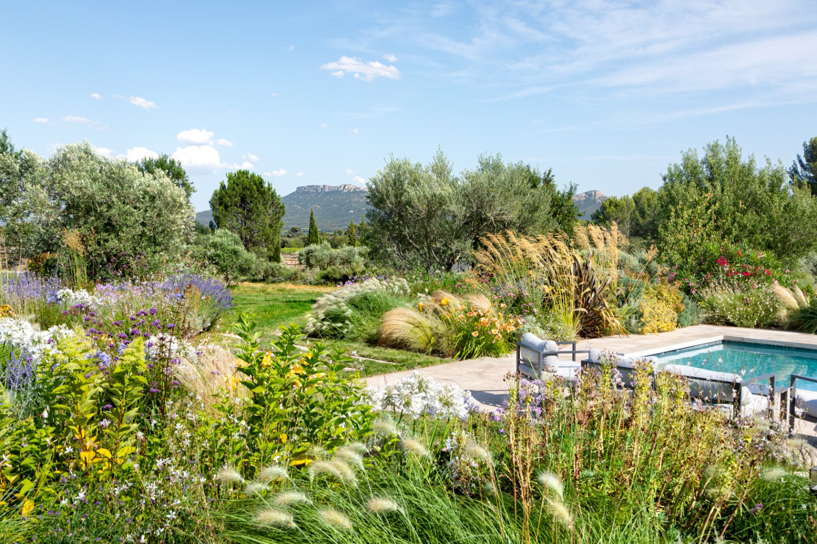 jardin sud de la France