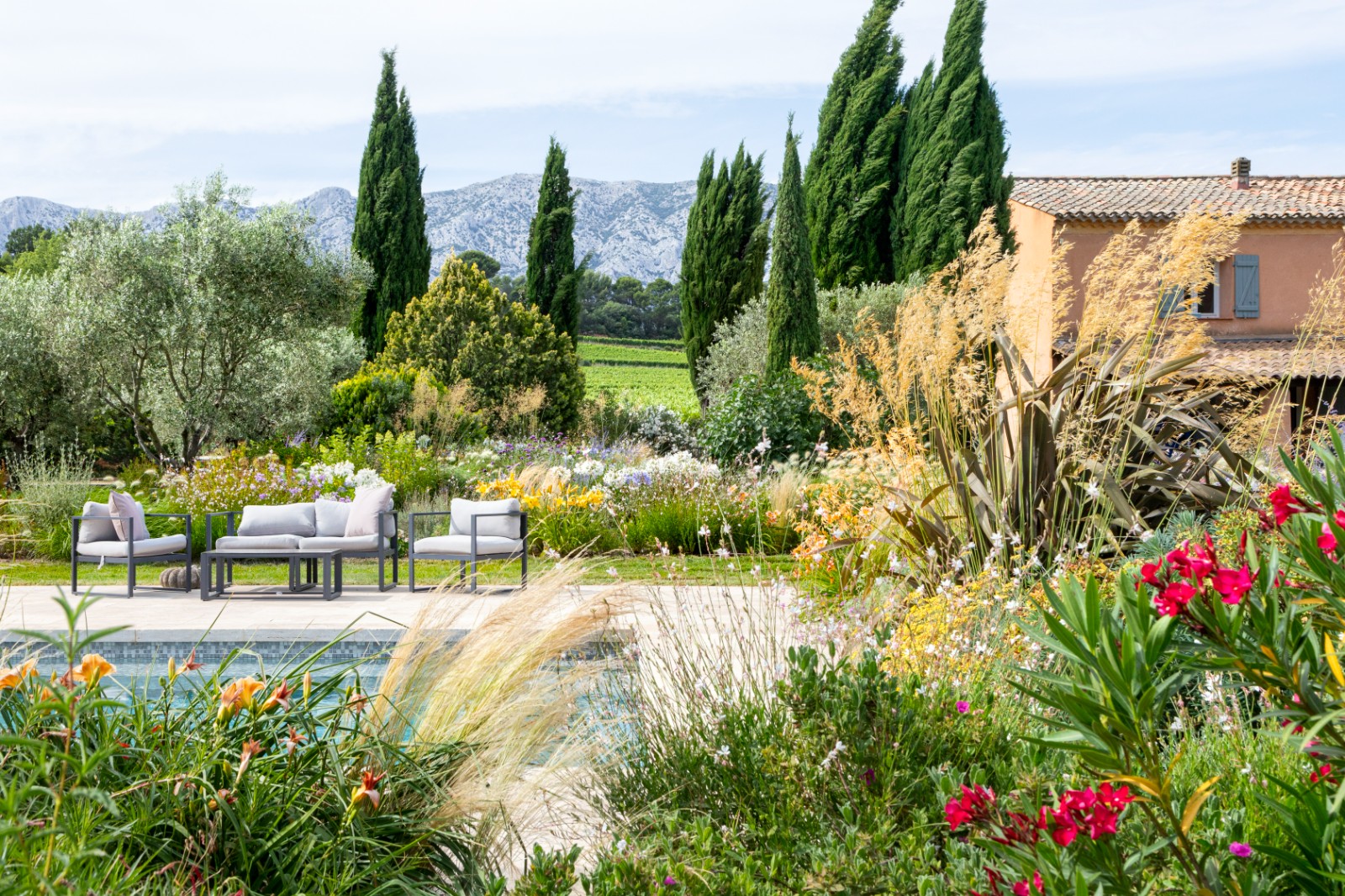 jardin graminées