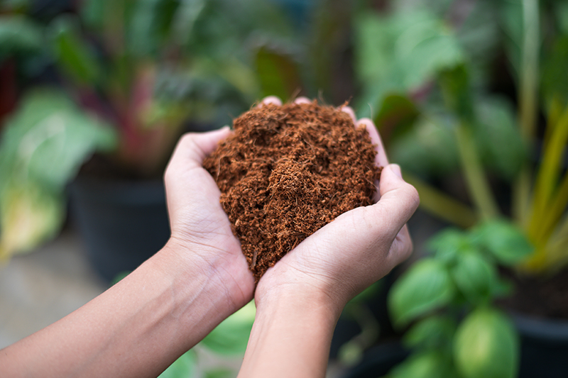 Compost