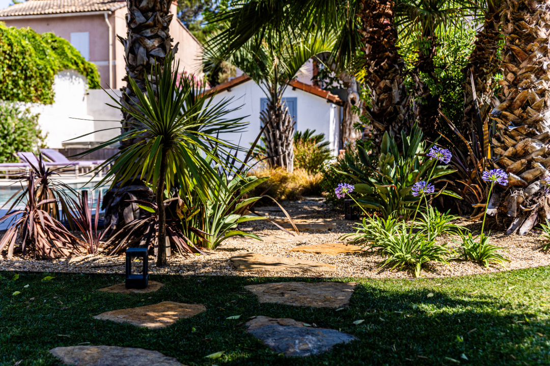 Jardin exotique - Accent du Sud Paysage