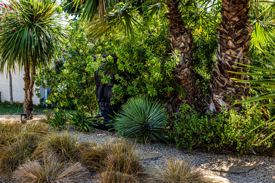 Jardin inspiration Bali - Accent du Sud Paysage