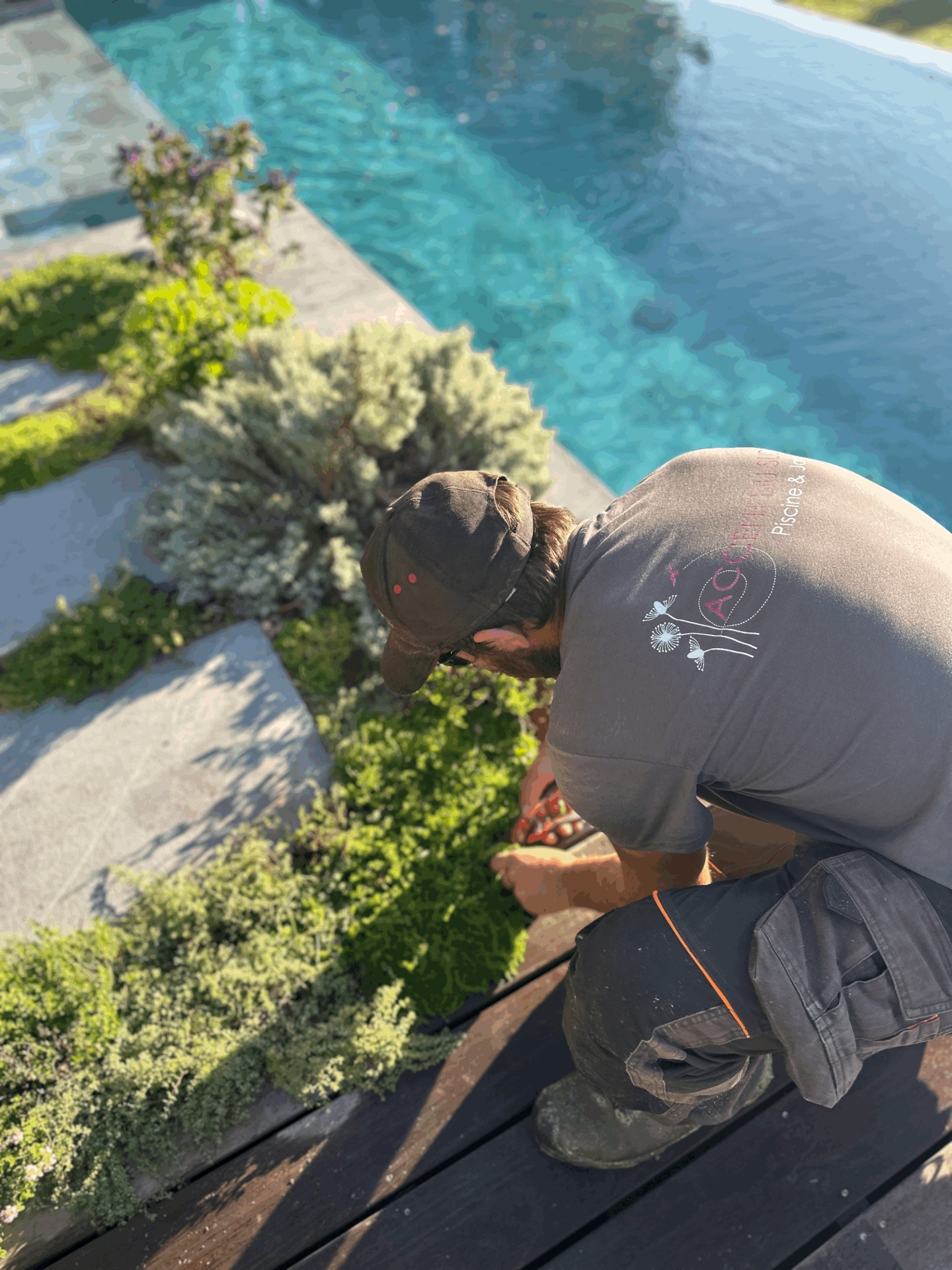 Entretien de jardin Aix-en-Provence-Accent du Sud Paysage