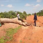Projet Humanitaire Accent du Sud Paysage