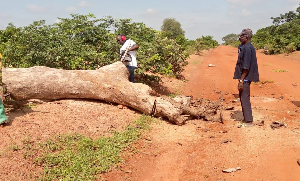 Projet Humanitaire Accent du Sud Paysage