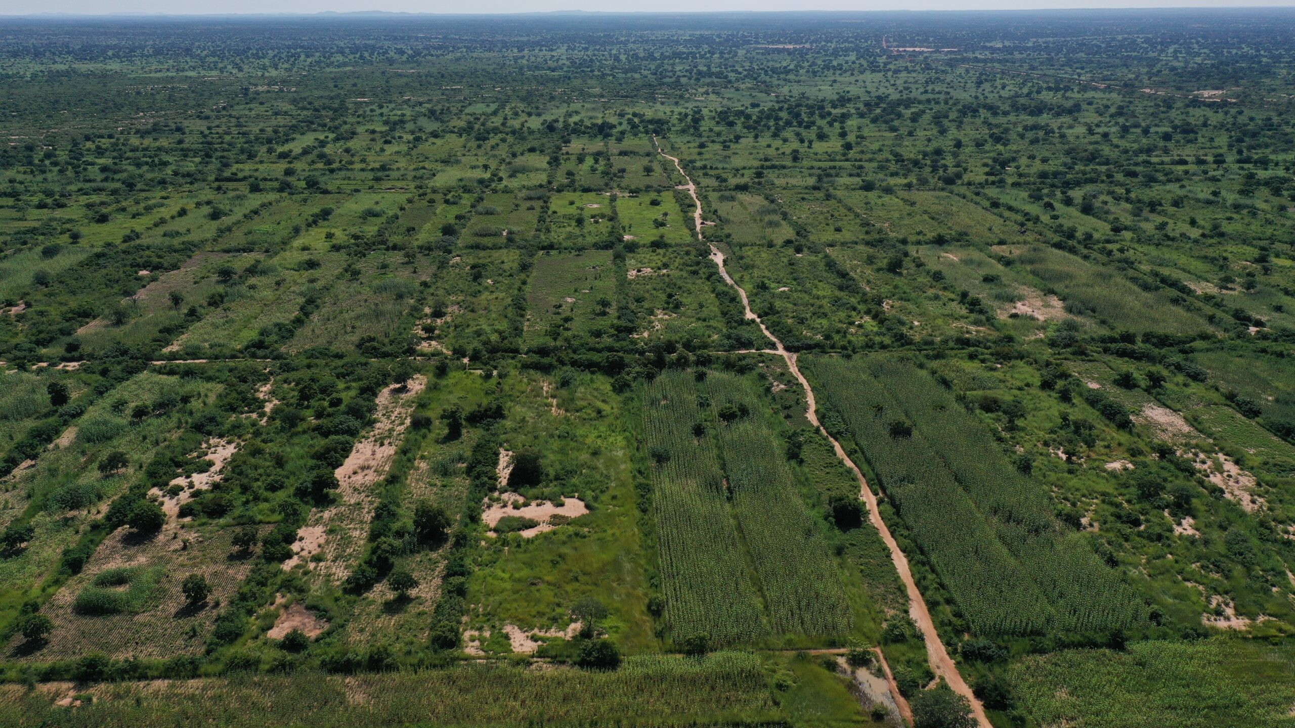 Projet humanitaire Accent du Sud Paysage