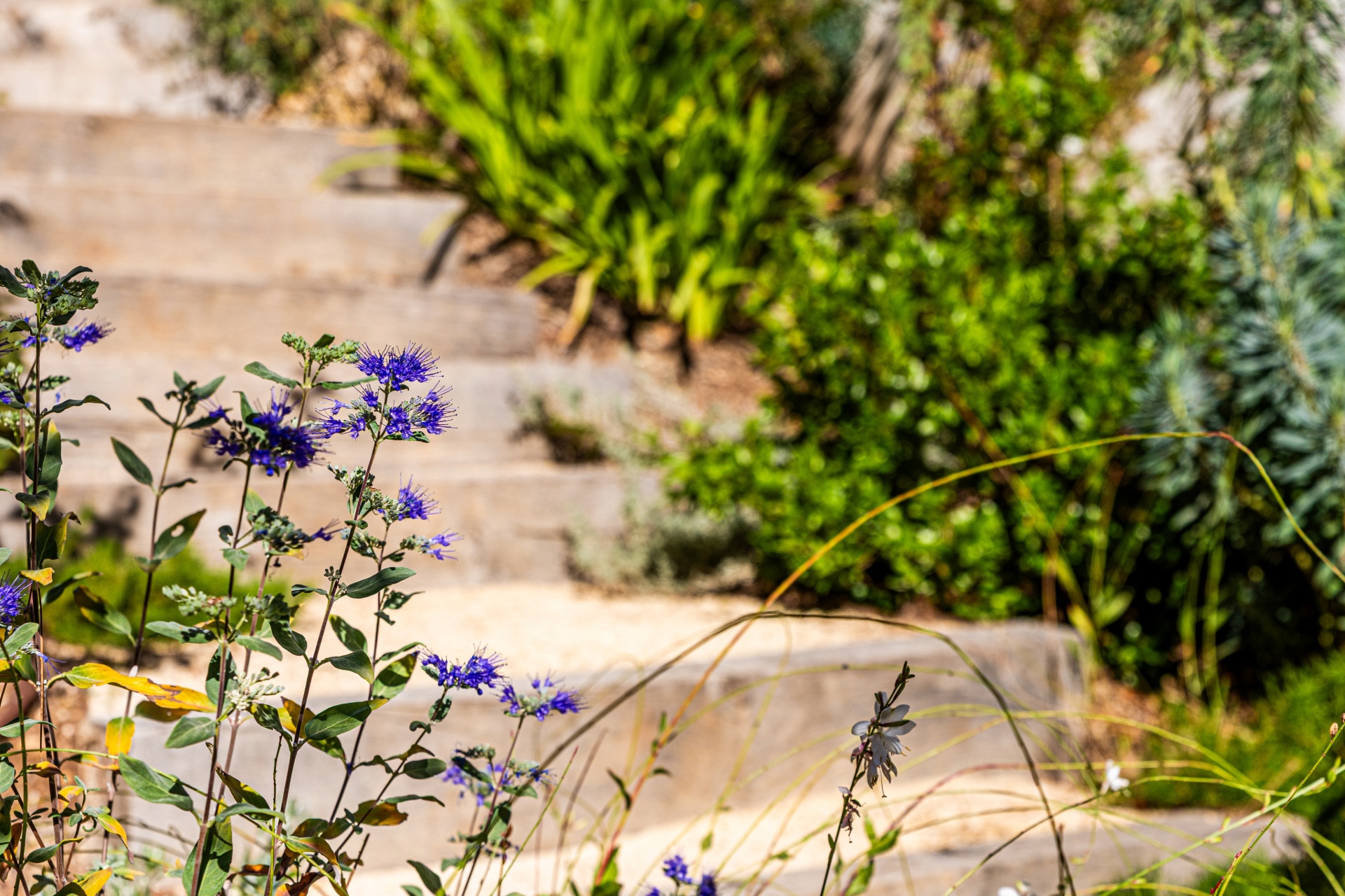 Paysagiste Aix-en-Provence