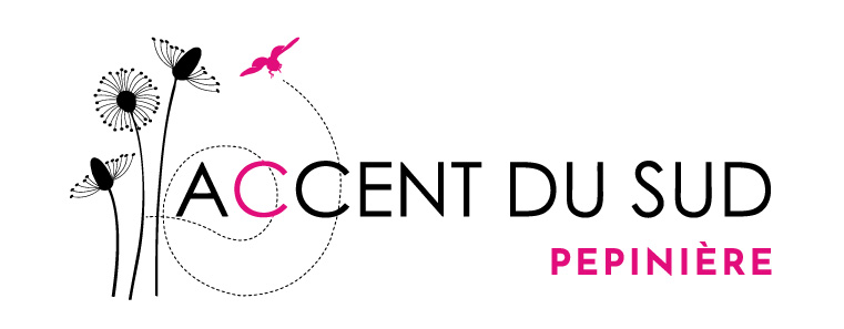 Pépinière Provence