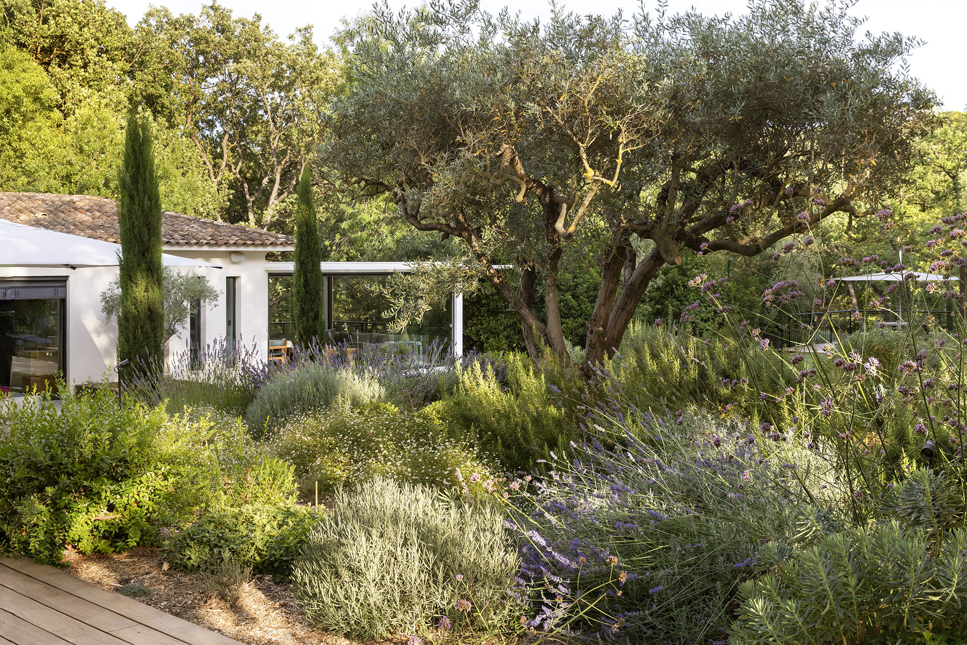 jardin méditerranéen