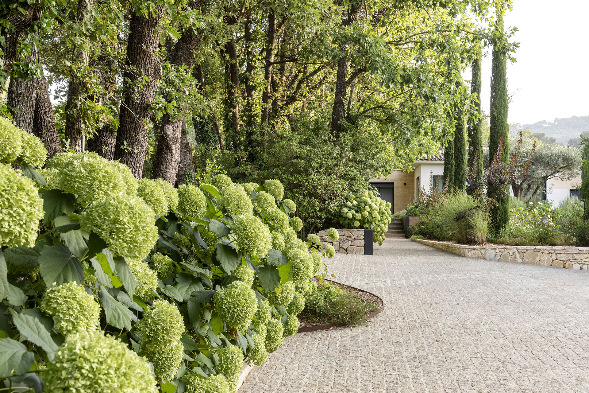 création jardin Aix-en-Provence